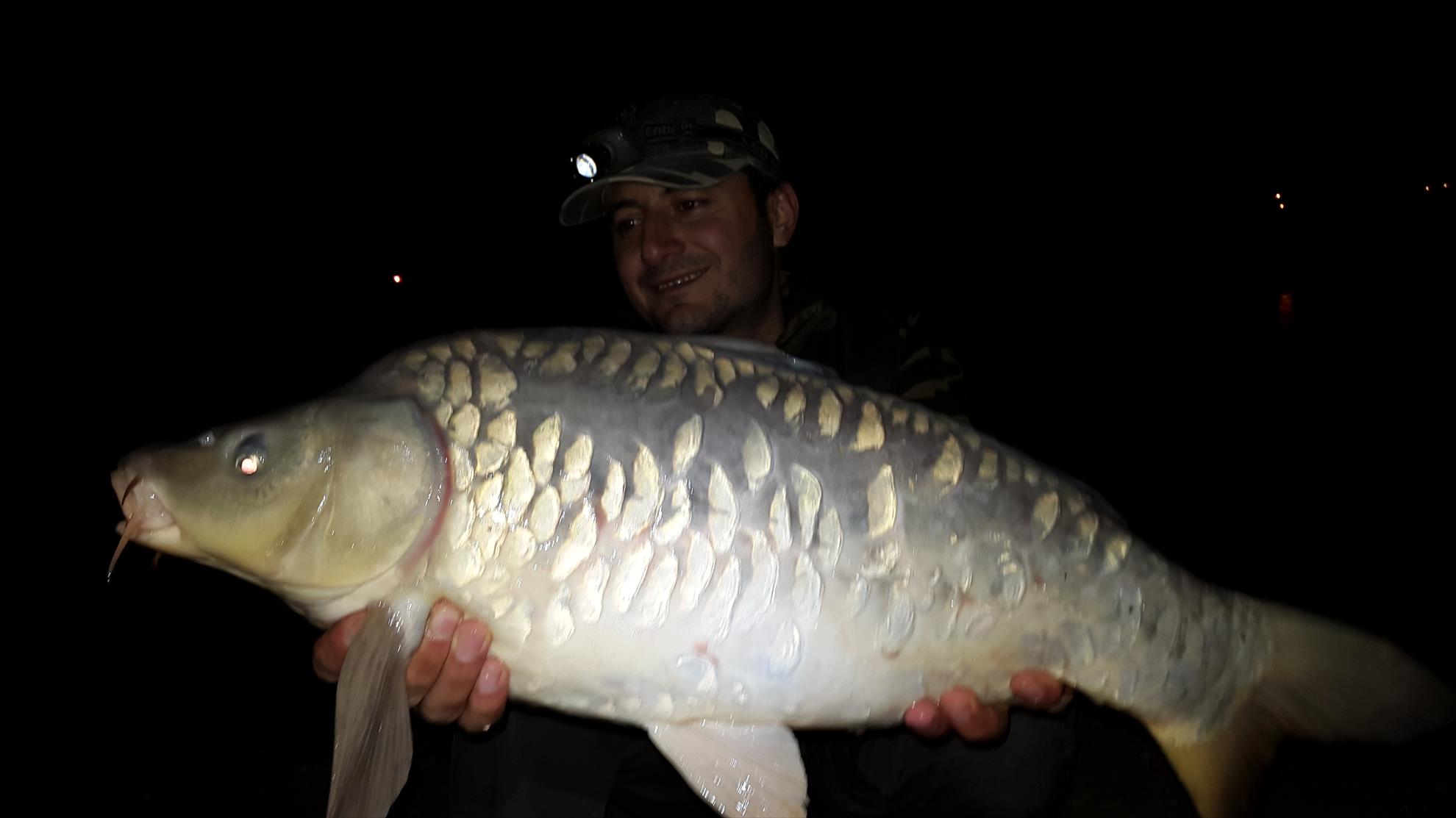 Hermes Peris 3 - 4 aprilie 2015 - 20150403223635.jpg